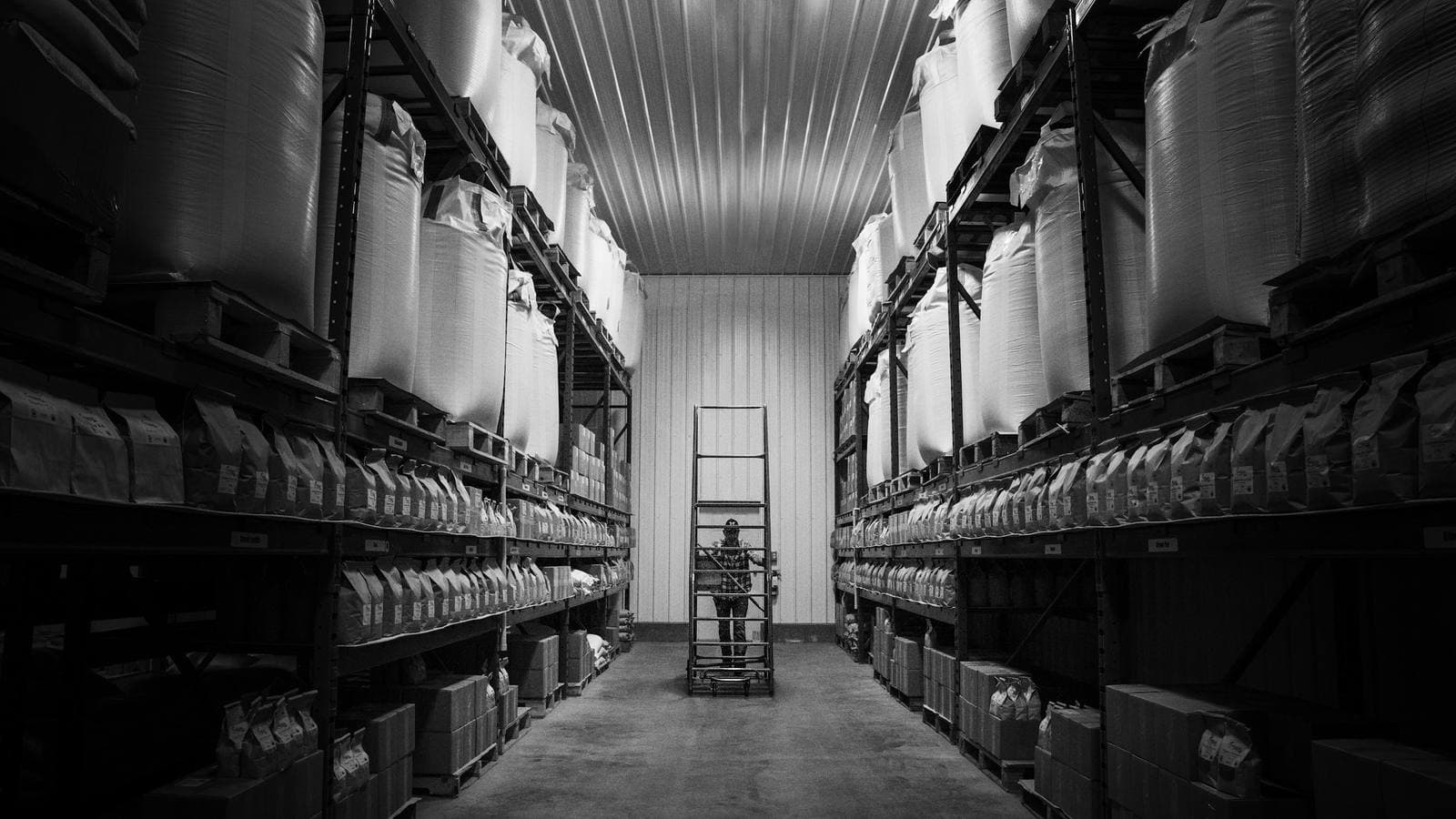 A long aisle in a storage warehouse, black and white, with tall shelves of sacks and boxes on both sides and a worker on a rolling ladder at the far end. A CDN works like a network of regional warehouses holding copies of a website's files close to its customers