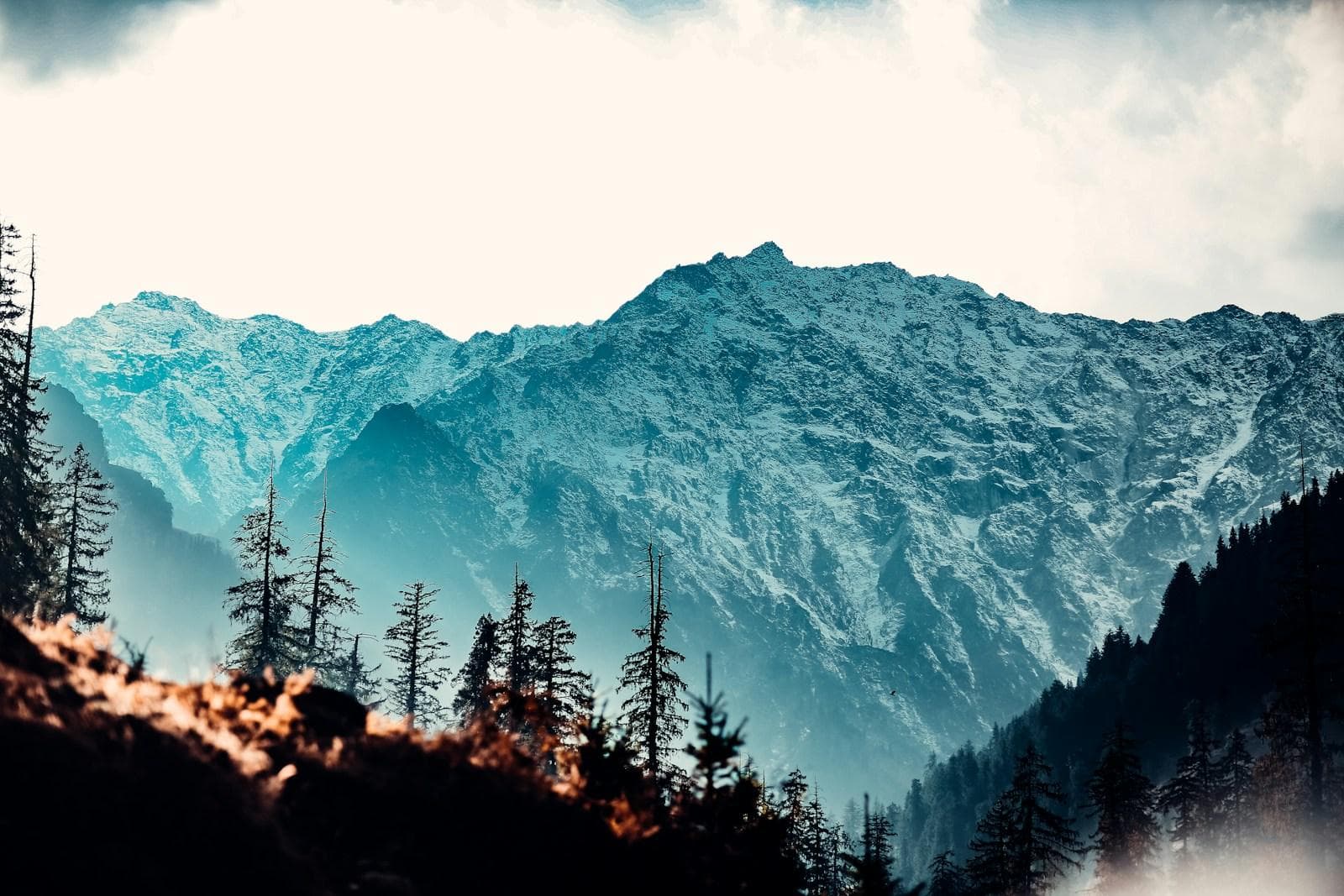 Seasonality, connectivity and how people actually buy here are constraints an outside team learns at your expense